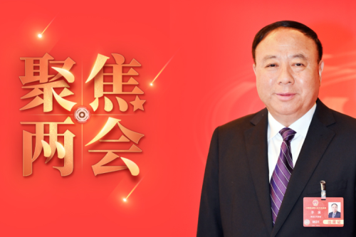 全國人大代表李寅2025年建議之四--盡快解決農(nóng)林生物質(zhì)發(fā)電可再生能源電價附加補助拖欠問題，化解行業(yè)經(jīng)營風(fēng)險的建議