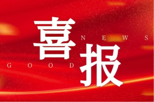 喜報！智能配電網(wǎng)事業(yè)部榮獲2025年黑龍江省工人先鋒號（巾幗標兵崗）榮譽稱號